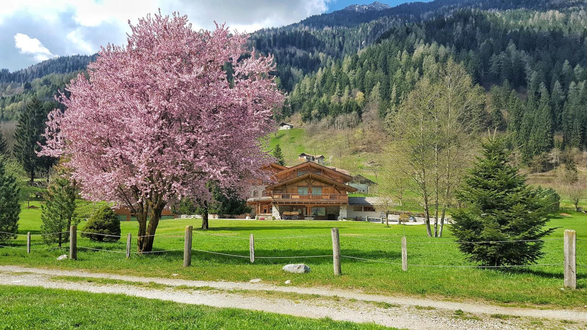 5 Hotel per Famiglie Vicino a Patascoss Express a Madonna di Campiglio